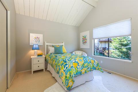 314 Durant Way, Mill Valley, CA 94941 photo 25