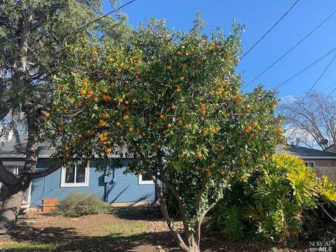 1041 Western Ave, Vallejo, CA 94591 photo 24