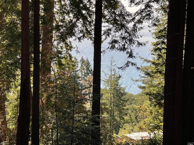 Homes For Sale Real Estate 16 Houses Movoto