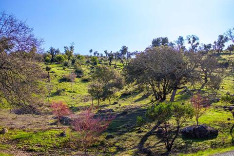 2120 Arrowhead Mountain Rd, Sonoma, CA 95476 photo 81
