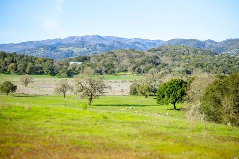 2120 Arrowhead Mountain Rd, Sonoma, CA 95476 photo 19