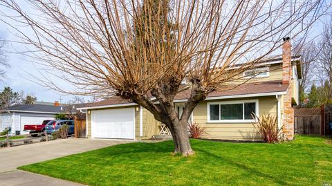 1761 Pine Ave, Petaluma, CA 94954 photo 34