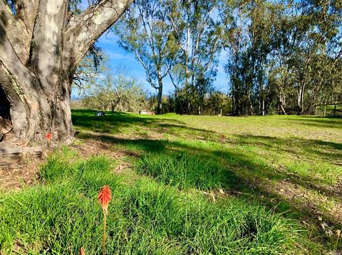 1489 Windsor River Rd, Windsor, CA 95492 photo 32