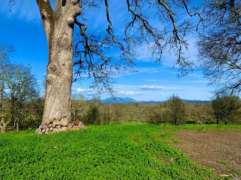 1489 Windsor River Rd, Windsor, CA 95492 photo 30