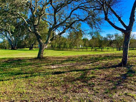 1489 Windsor River Rd, Windsor, CA 95492 photo 6