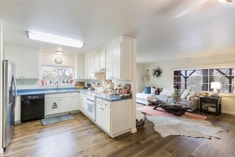1489 Windsor River Rd, Windsor, CA 95492 photo 21