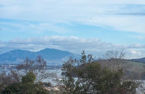 101 James River Rd, Vallejo, CA 94591 photo 48