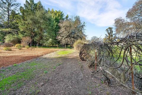 1149 Pine Tree Ln, Sebastopol, CA 95472 photo 24