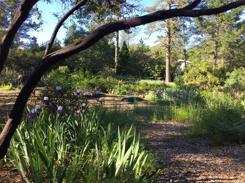 531 Viewridge Dr, Angwin, CA 94508 photo 41