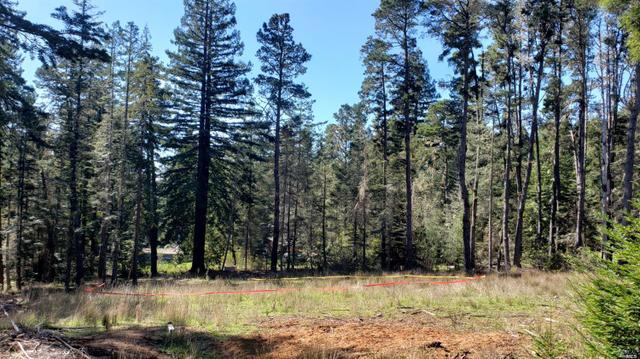 Homes For Sale Real Estate 16 Houses Movoto