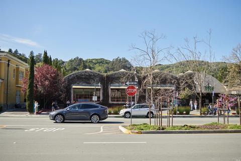15 Circle Way, Mill Valley, CA 94941 photo 37
