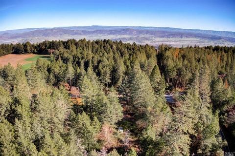 975 Howell Mountain Rd, Angwin, CA 94508 photo 50