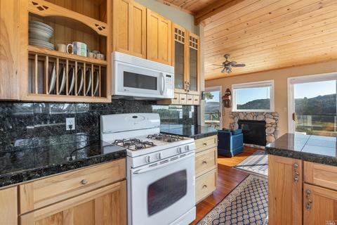 10641 Willig Dr, Jenner, CA 95450 photo 5