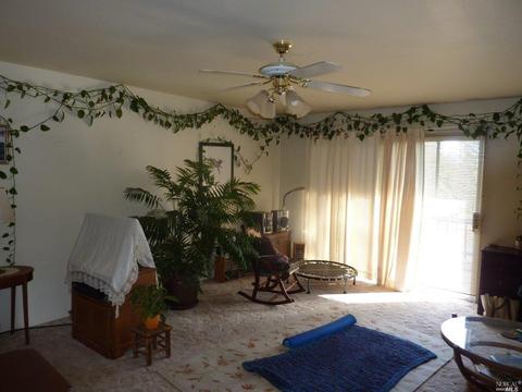 6101 Ridgewood Rd, Willits, CA 95490 photo 72