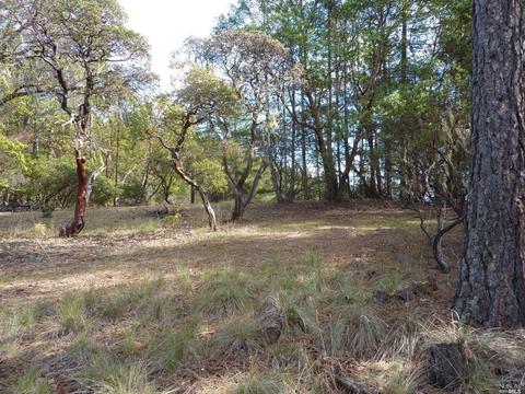 6101 Ridgewood Rd, Willits, CA 95490 photo 93