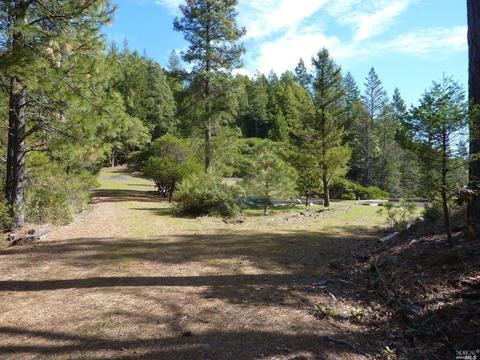 6101 Ridgewood Rd, Willits, CA 95490 photo 86