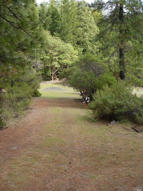 6101 Ridgewood Rd, Willits, CA 95490 photo 28