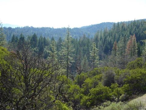6101 Ridgewood Rd, Willits, CA 95490 photo 79