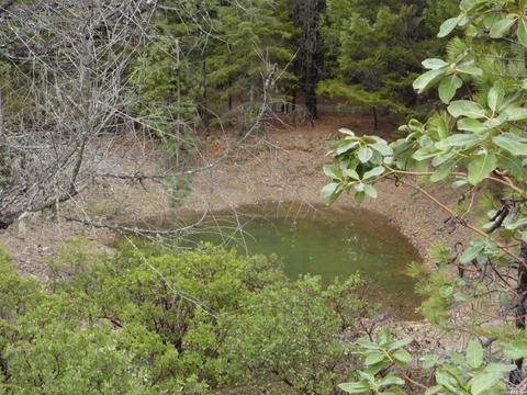 6101 Ridgewood Rd, Willits, CA 95490 photo 27