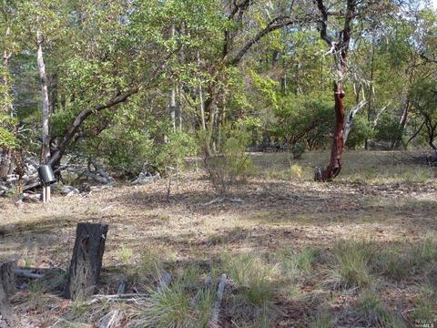 6101 Ridgewood Rd, Willits, CA 95490 photo 94