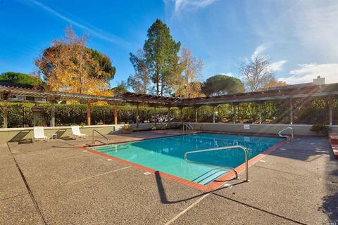 103 Eucalyptus Knoll St, Mill Valley, CA 94941 photo 31