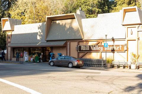 103 Eucalyptus Knoll St, Mill Valley, CA 94941 photo 39