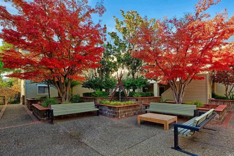 103 Eucalyptus Knoll St, Mill Valley, CA 94941 photo 33