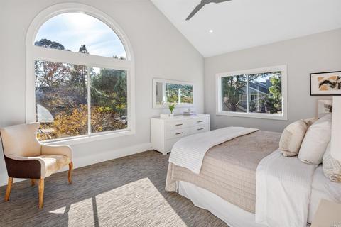 103 Eucalyptus Knoll St, Mill Valley, CA 94941 photo 15