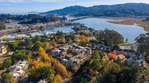 103 Eucalyptus Knoll St, Mill Valley, CA 94941 photo 30