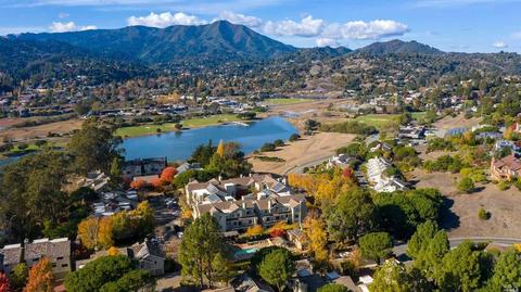 103 Eucalyptus Knoll St, Mill Valley, CA 94941 photo 46