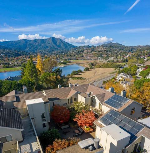 103 Eucalyptus Knoll St, Mill Valley, CA 94941 photo 45