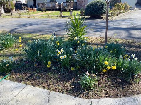 195 Westside Rd, Healdsburg, CA 95448 photo 41