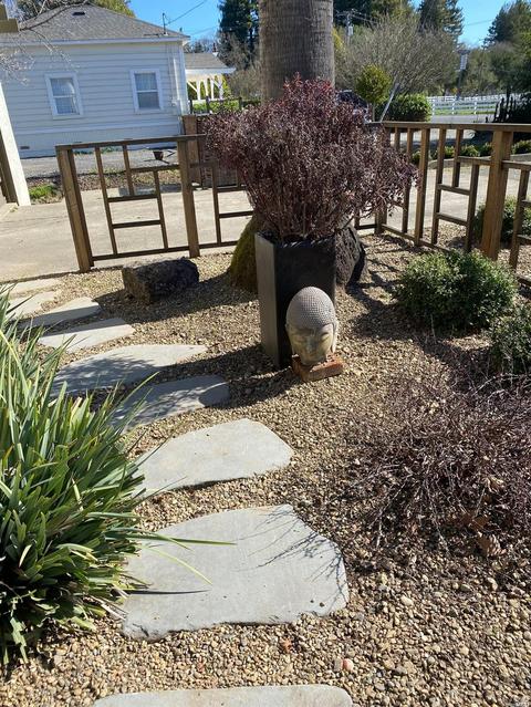 195 Westside Rd, Healdsburg, CA 95448 photo 8