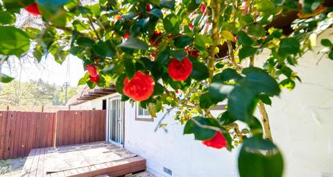 2077 Shurtleff Ave, Napa, CA 94559 photo 32