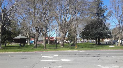 8531 Loretto Ave, Cotati, CA 94931 photo 20