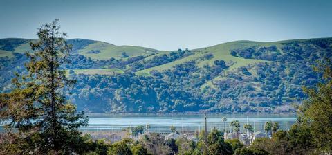 397 E O St, Benicia, CA 94510 photo 24