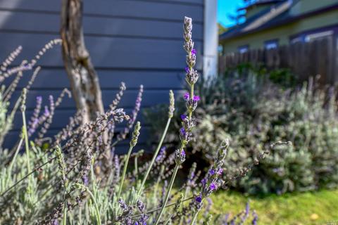 2100 Main St, Napa, CA 94559 photo 28