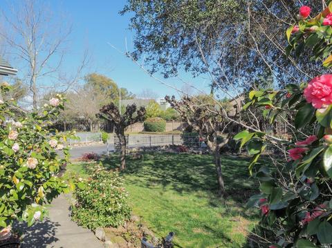 10051 Starr Rd, Windsor, CA 95492 photo 2