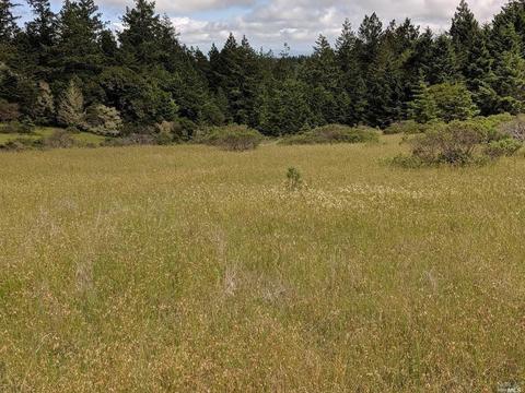 18253 Fitzpatrick Ln, Occidental, CA 95465 photo 5