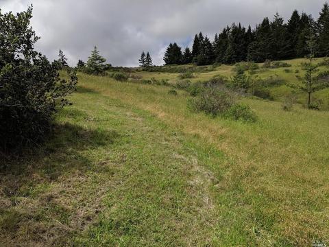 18253 Fitzpatrick Ln, Occidental, CA 95465 photo 9