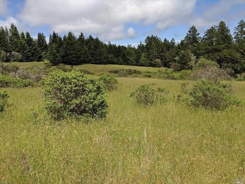 18253 Fitzpatrick Ln, Occidental, CA 95465 photo 8