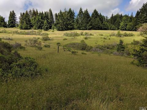 18253 Fitzpatrick Ln, Occidental, CA 95465 photo 11