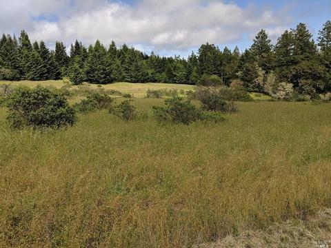 18253 Fitzpatrick Ln, Occidental, CA 95465 photo 7