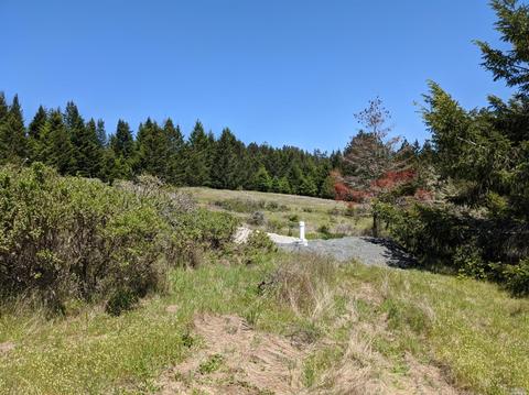 18253 Fitzpatrick Ln, Occidental, CA 95465 photo 2