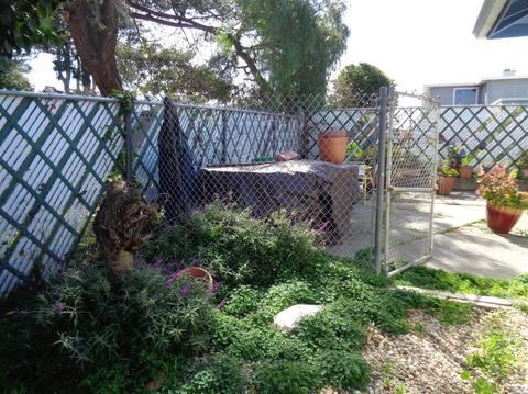 227-229 Coughlan St, Vallejo, CA 94590 photo 48