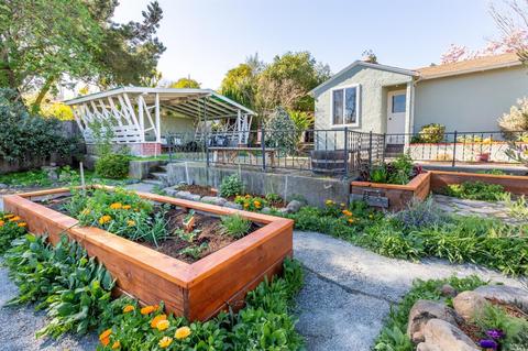 880 6th St, Petaluma, CA 94952 photo 21