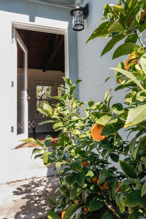 119 Stonecrest Dr, Napa, CA 94558 photo 22
