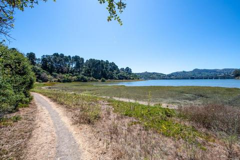 150 Seminary Dr #2D, Mill Valley, CA 94941 photo 25