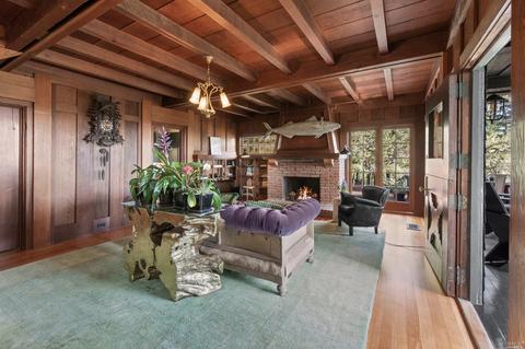 45 Ralston Ave, Mill Valley, CA 94941 photo 24