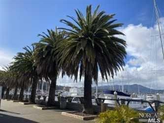 7 Willow Ln, Sausalito, CA 94965 photo 29